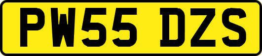 PW55DZS