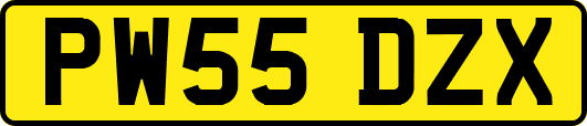 PW55DZX