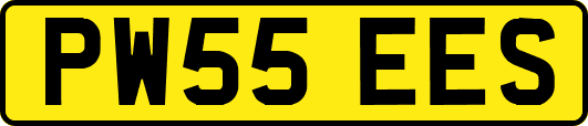 PW55EES