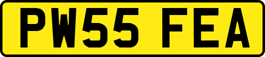 PW55FEA