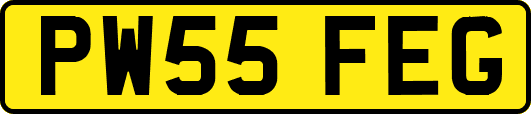 PW55FEG