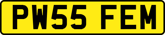 PW55FEM