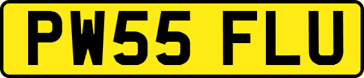 PW55FLU