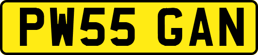 PW55GAN
