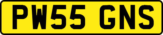 PW55GNS