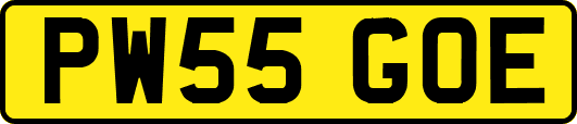 PW55GOE