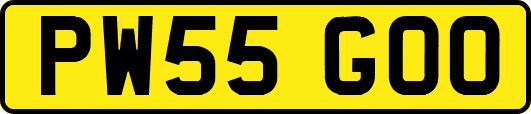 PW55GOO