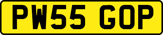 PW55GOP