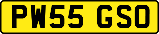 PW55GSO