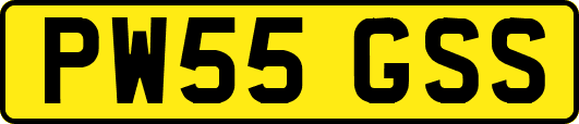 PW55GSS