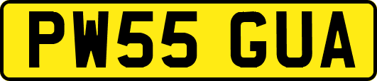PW55GUA