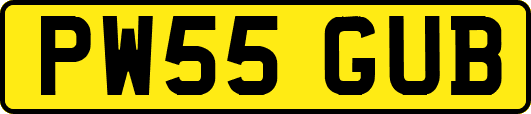 PW55GUB