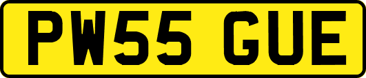 PW55GUE