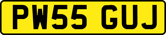 PW55GUJ