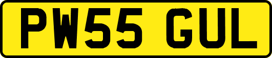 PW55GUL
