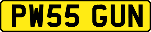 PW55GUN