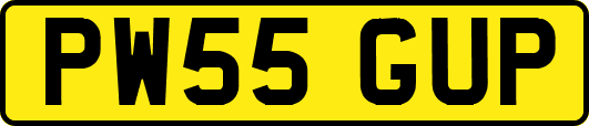 PW55GUP
