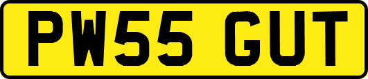 PW55GUT