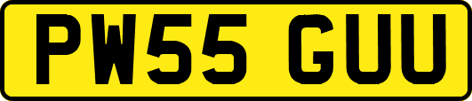 PW55GUU