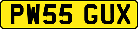 PW55GUX