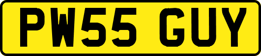 PW55GUY