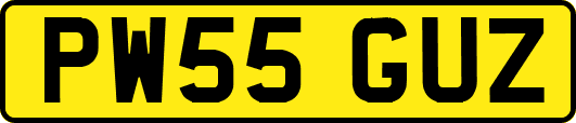 PW55GUZ