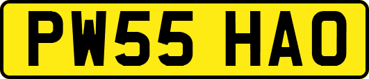 PW55HAO