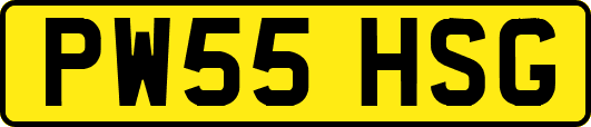 PW55HSG