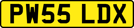 PW55LDX