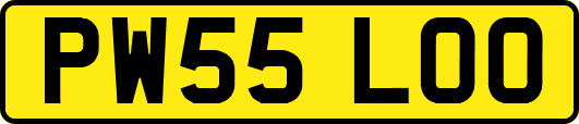 PW55LOO