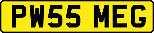 PW55MEG