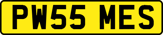 PW55MES