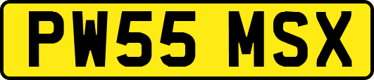 PW55MSX