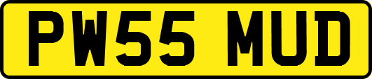 PW55MUD