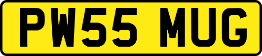 PW55MUG
