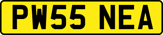 PW55NEA
