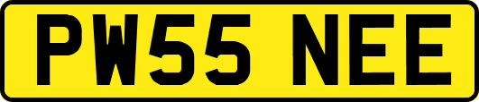 PW55NEE