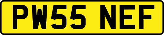 PW55NEF