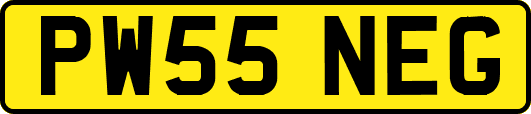 PW55NEG