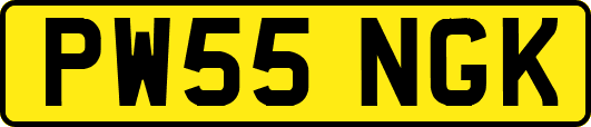 PW55NGK