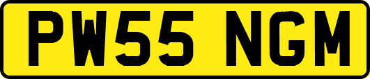 PW55NGM