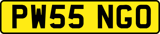 PW55NGO
