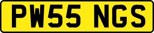 PW55NGS
