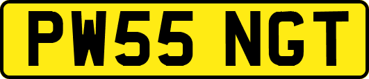 PW55NGT