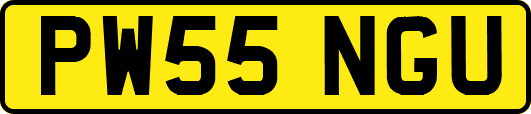 PW55NGU