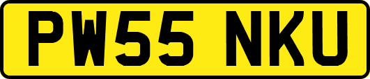 PW55NKU