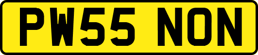 PW55NON