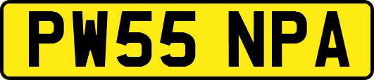 PW55NPA