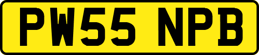 PW55NPB