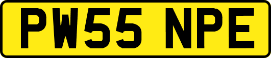PW55NPE